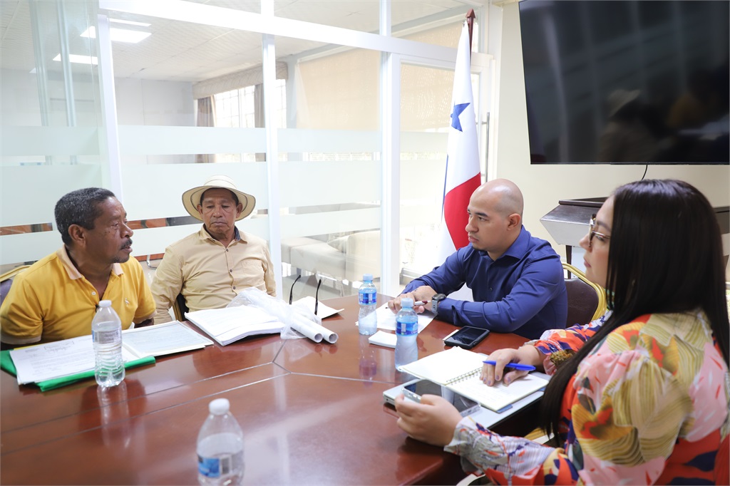 Titulación de Tierras - Proyecto Comunal