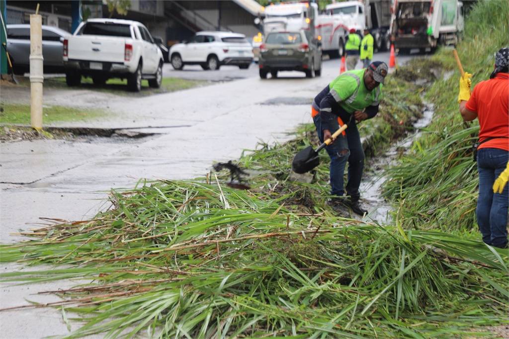 Mantenimiento de áreas verdes